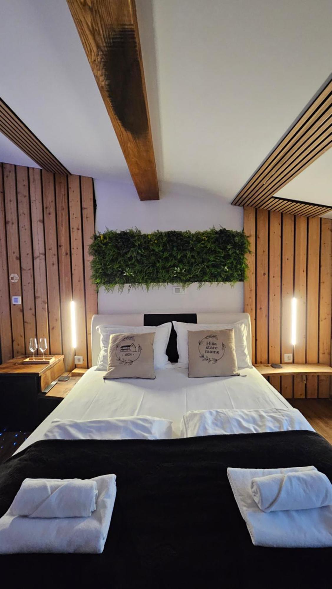 Hisa Stare Mame Bed & Breakfast Kamnik Luaran gambar